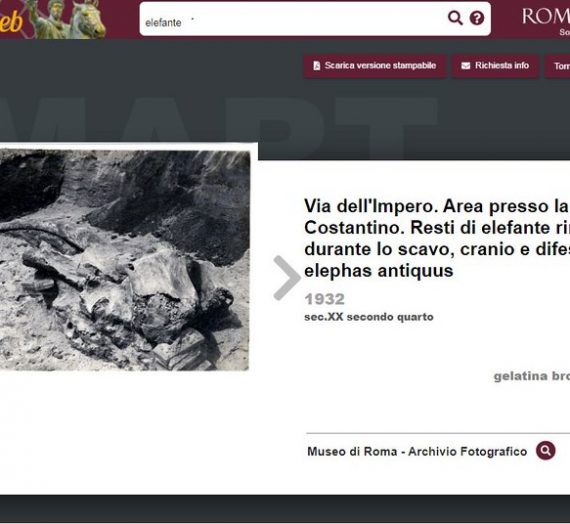 Drone journalism: si salvi chi può?