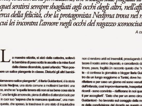 Ho visto le 6 stagioni di Lost tutte d’un fiato. Parla di un disastro aereo