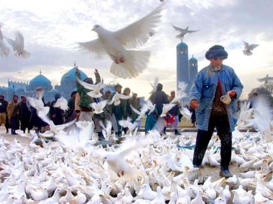 Art in Pills: ANTHROPOCENE fino al 5 gennaio 2020