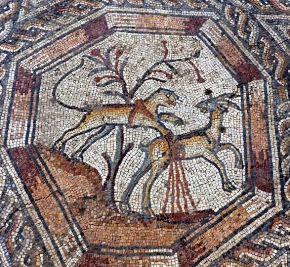 Nuovo mosaico del IV secolo scoperto a Lod, Israele