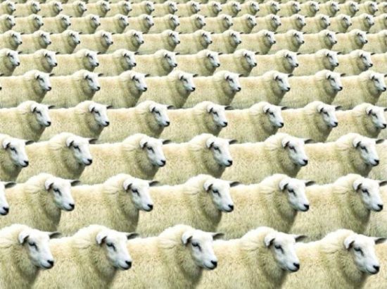 Il nuovo Calvino? C’è, forse, ma tanto non si vede…
