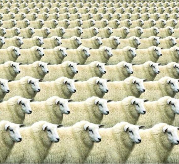 Il nuovo Calvino? C’è, forse, ma tanto non si vede…